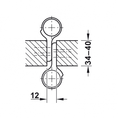 Double action spring hinges 1