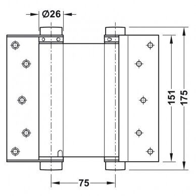 Double action spring hinges 2