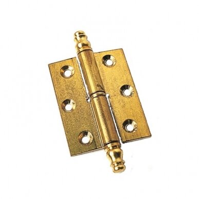 Brass hinge, with flat leaf and knobs. Suitable for full inset doors. 4