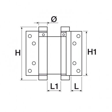 Spring hinge double action 1