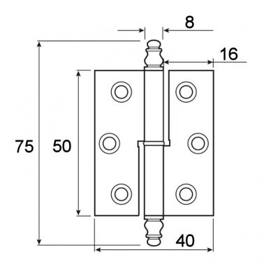 Brass hinge, with flat leaf and knobs. Suitable for full inset doors. 1