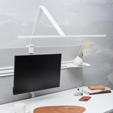 Shelf Conceptum M 2