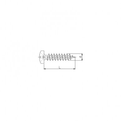 Pan head screws 1