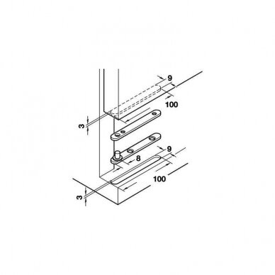 Pivot hinge, Steel, with identical flanges 1