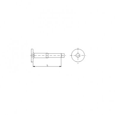 Hex socket flat head screw 1